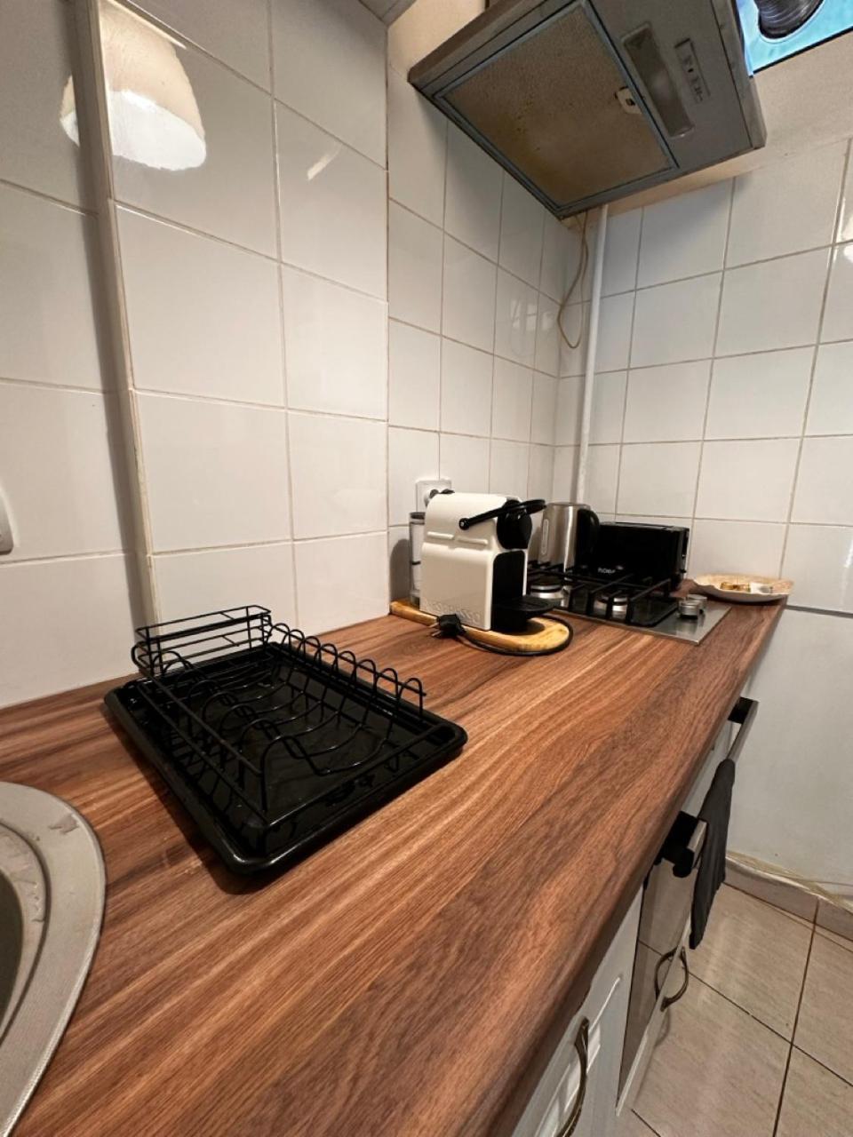 Cismigiu Park Apartament *